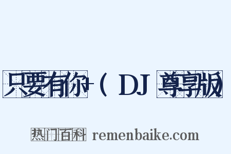 只要有你+(DJ尊享版)是什么意思的图片